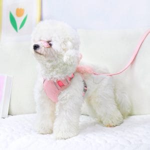 Tank top style small dog Teddy Bear Puppy Puppy Chest Strap Dog Walking Rope Dog Chain